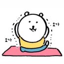 요가단다 | 요린이 요가 한달 후기 | 내돈내산 솔직 후기 :: 직장인 운동 추천