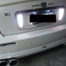 루미노스 이미지