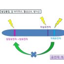 해월씨에스의원 이미지