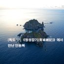 [독도 17] 《청성잡기(靑城雜記)》에서 만난 안용복