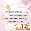 비츠필라테스스튜디오