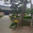 용주사효행박물관(휴관) 이미지