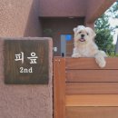 여수스테이 이미지