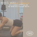 페이스피티 네이버블로그