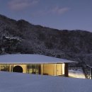 삼보서울민박cafe | 개어멈이 추천하는 댕댕이와 같이 가는 감각 숙소