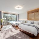 힐링포레스트 이미지