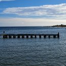 코히마르 이미지