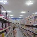 우일유치원 | 대구 장난감 할인매장 토이마트 방문기와 시크릿 쥬쥬 별의 여신 아이돌 헤드셋 마이크 구매후기 (본리동)