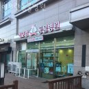 이모란 동물병원 | 평택동 동물병원 이모란동물병원 진료시간 접근성 이용후기