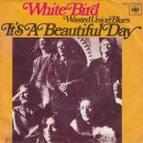 It's A Beautiful Day - White Bird(1968) 이미지