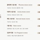 술리스 이미지