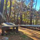 행정공안길 이미지