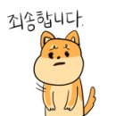 한신트레이딩 네이버블로그