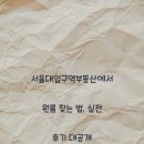 서울대입구역부동산에서 원룸 찾는 법, 실전 후기 대공개