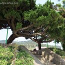 어청도보건지소 이미지