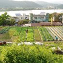 상영초등학교내 네이버블로그
