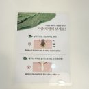 올가뷰티 - 부안군 서신1길 17 | 동래 : 부산 저자극 모공디톡스 '올가드림뷰티 온천장점' 솔직 후기