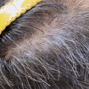 HEADAM헤담 /가루형 순한 염색약 브라운색상 셀프염색후기