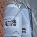 까페나무 이미지