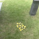 울루라떼 | 발리6.7일차/발리컬렉션/플로팅조식/콜드스톤/울루 세 가라 /티켓투더문/SIKI