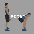 더찬스짐 역동점 네이버블로그