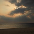 망상오토캠핑리조트 이미지