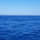 선상슈퍼 이미지