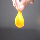 고란농장 이미지