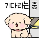 화사랑플라워