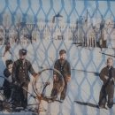 DMZ 평화의 길 1코스 이미지