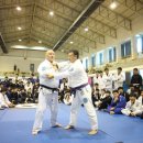 칼슨그레이시 코리아 이미지