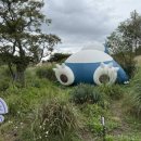 (주)리얼리티랩 | [여행] F1 팬이라면 심쿵! 제주 9.81파크, 레이싱 본능 깨우는 짜릿한 경험