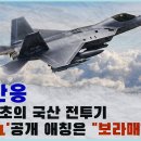 [일본반응]한국 최초의 국산 전투기 'KF-21' 공개 애칭은 '보라매' 이미지