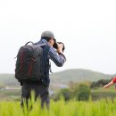 합도초교 이미지