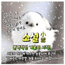 🍒첫눈이 내린다는 소설(小雪)날 문안편지 '겨울사랑' 이미지