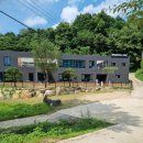 양평애견택시 이미지