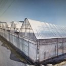 신천2리마을회관 이미지