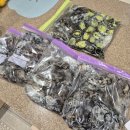 씨유태안안면로드점 | [안면 백사장항] 구라미끼호 갑오징어 선상낚시 출조후기