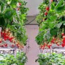 365부동산 공인중개사사무소 이미지