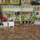 세븐일레븐 분당타운점 이미지