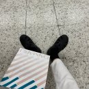 [일본여행6] 오타루 만끽한 삿포로 여행기⛲_Day3 : 유리공방, 오르골당, 이카타로 혼포, 르타오 본점...