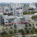 굿모닝마트(통진점)