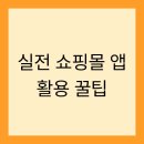 (주)태산국제 | 실전 쇼핑몰 앱 활용 꿀팁