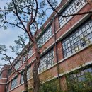 앙리동물병원 | 국립현대미술관 전시 : 죽음을 기괴하게 해석한 데이미언허스트, 진실은 없어 그러나 모든것은 가능하지