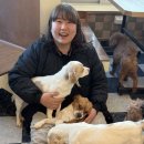 청주유기동물입양지원센터 개가 꿈꾸는 세상 이미지