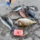 하예동-12 이미지