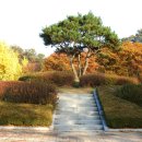 탑환경 이미지
