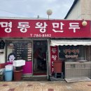 제주 조천 노포만두집, 명동왕만두-고기만두,김치만두 반반 내돈내산 포장후기