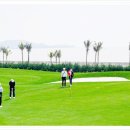 골프드래곤 이미지