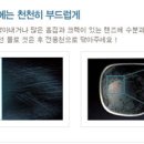 아이닥터안경 이미지